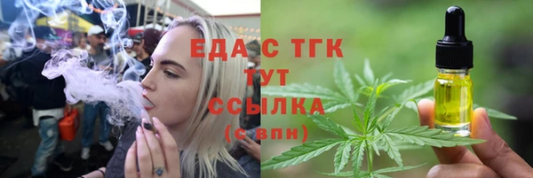 молекула духа Вяземский